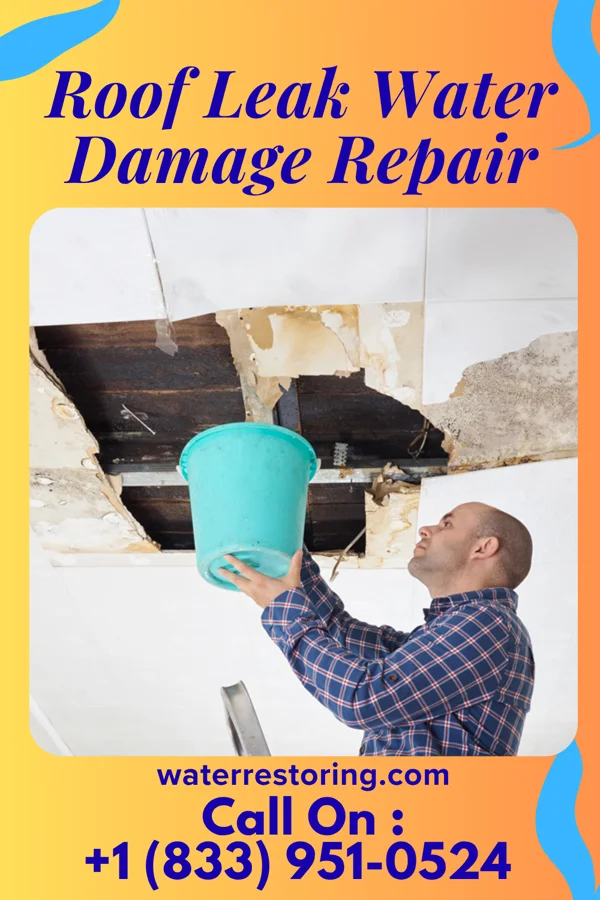 Roof Leak Water Damage Repair in Eddyville, IA