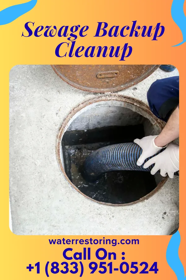 Sewage Backup Cleanup in Eddyville, IA